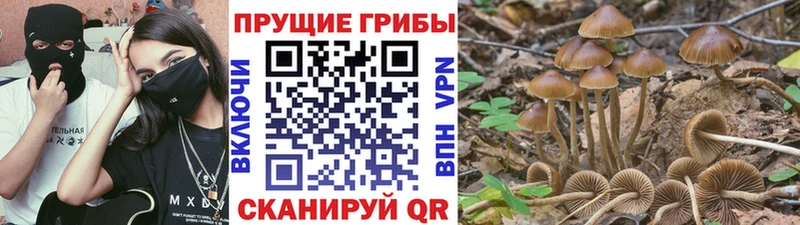 Галлюциногенные грибы мухоморы  цена   Каневская 