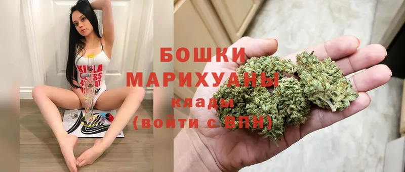 как найти наркотики  Каневская  МАРИХУАНА марихуана 